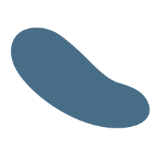 Decorative leaf