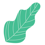 Decorative leaf
