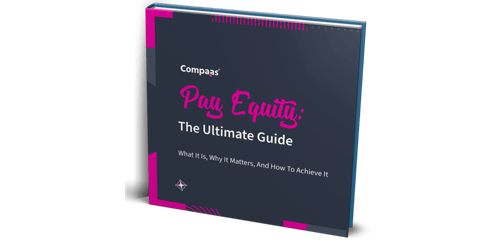 thumbnail-PayEquity_book_wide